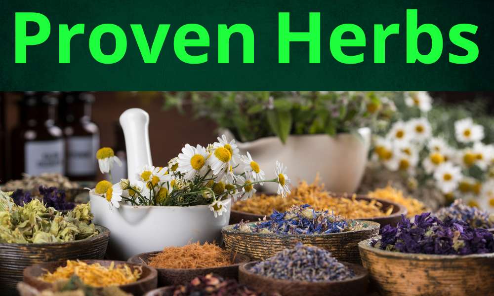 provenherbs